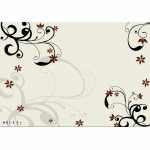 BD3003 (2)