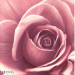 conew_so-116