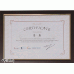 Certificate--高磊