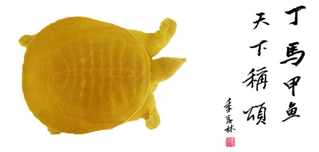 曲阜盛奥<em>甲鱼</em>馆 <em>丁马</em>科技济宁总代理 曲阜保健