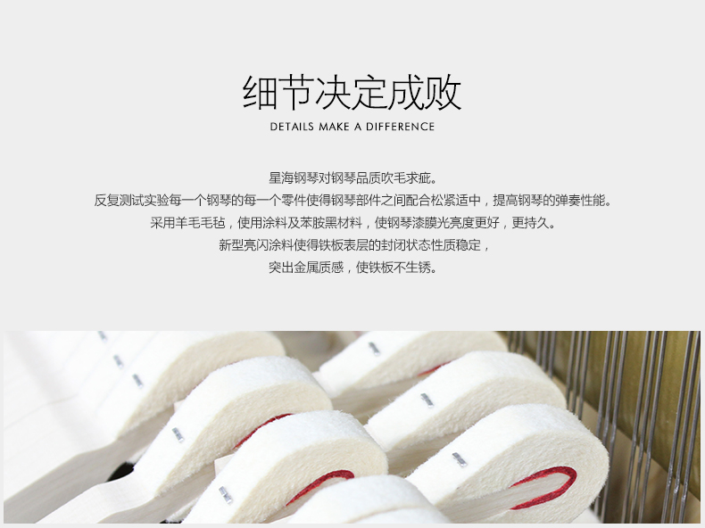 海11.jpg