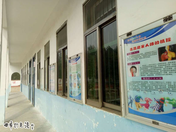 元疃小学禁毒学生不吸毒,校园无毒品 - 本地资