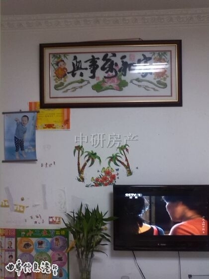 \/三室简装37万免税 - 曲阜出售 - 曲阜房产网